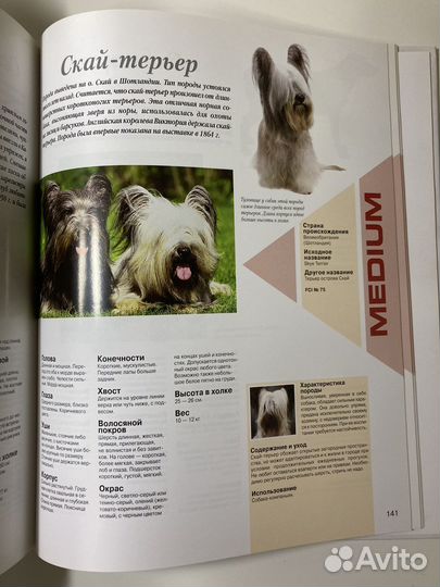 Энциклопедия собаки