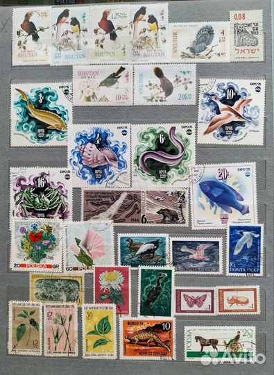 Марки Флора и фауна