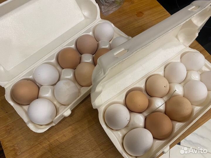 Яйца куринные домашние