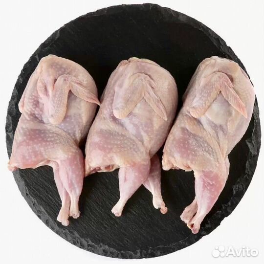 Перепела. Мясо перепелов