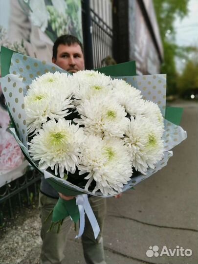 Букет хризантема одноголовая Букет хризантем