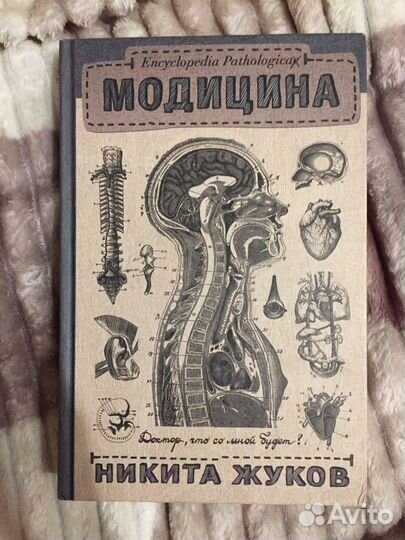 Модицина Никита Жуков