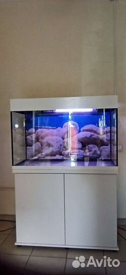 Аквариум 220 свет биофильтр фон подставка