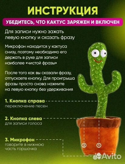 Танцующий кактус