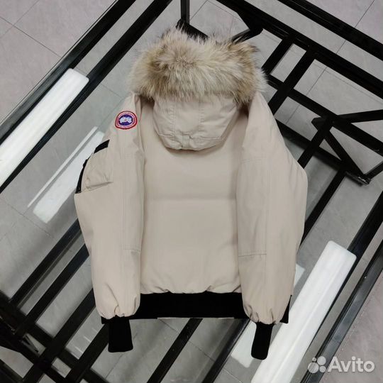 Мужской пуховик canada goose chilliwack parka