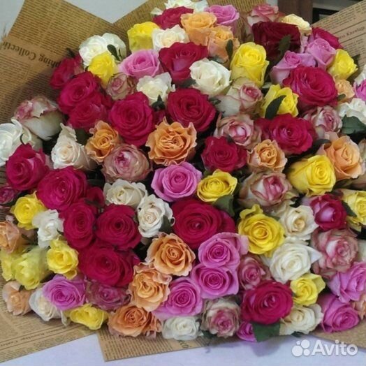 101 роза микс с доставкой
