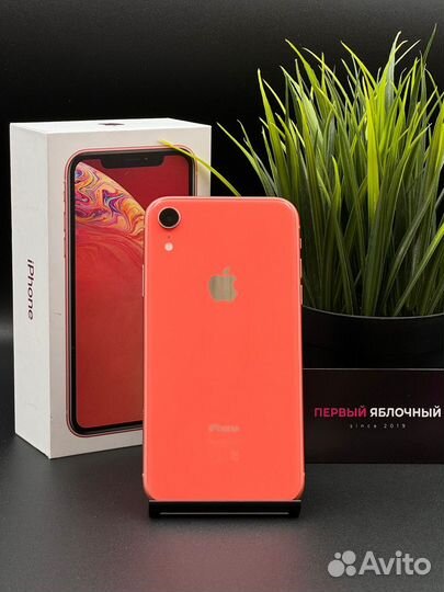 iPhone Xr, 64 ГБ