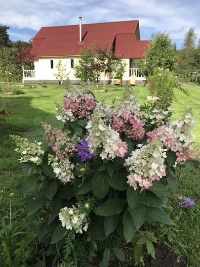 Дом 72 м² на участке 30 сот.