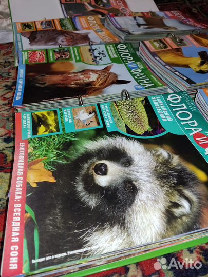 Журналы Наша Флора и Фауна все номера до 103