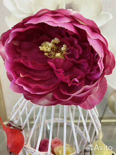 Цветы и птицы