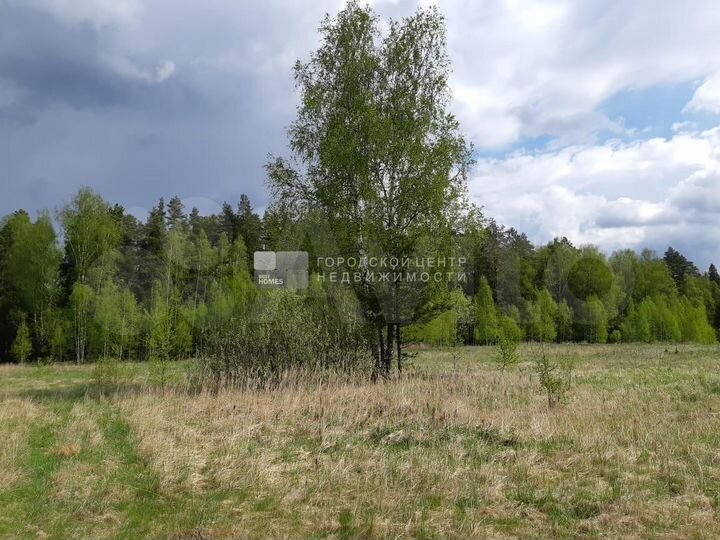 Участок 35 сот. (СНТ, ДНП)