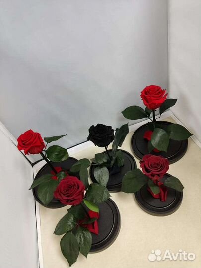 Роза в колбе оптом