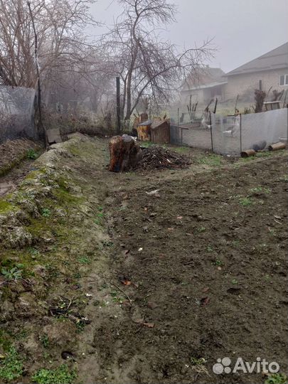 Драва отдам за 5000.Самовывоз