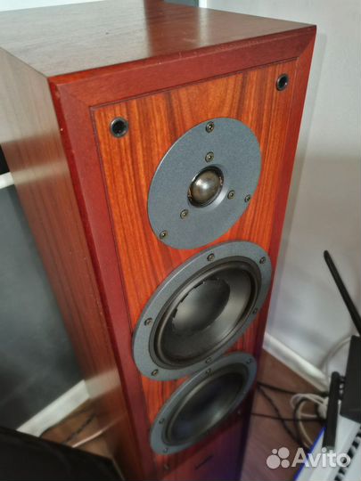 Колонки Dynaudio contour 1.8mk2