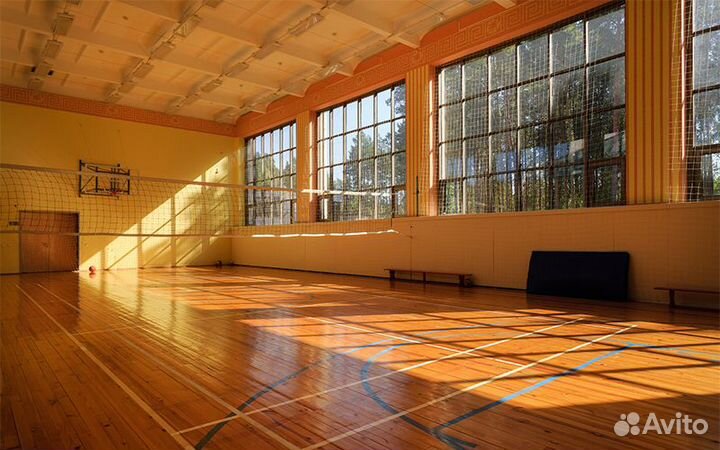 Сетка для игр в спорт зал