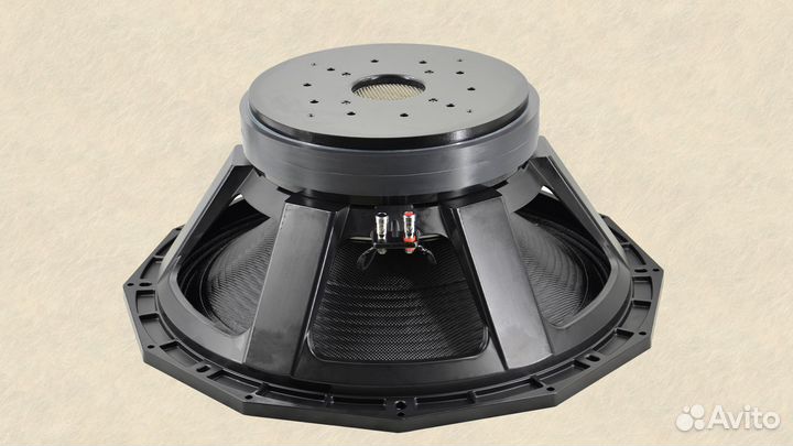 Динамики 21 дюйм 2500/5000 вт aes