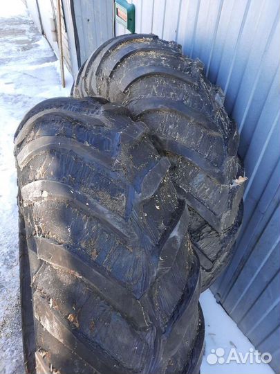 Accelera 651 2.25/70 R15