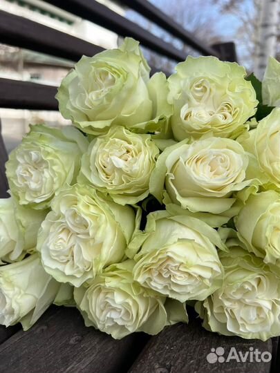 Цветы с доставкой гортензия гербера роза