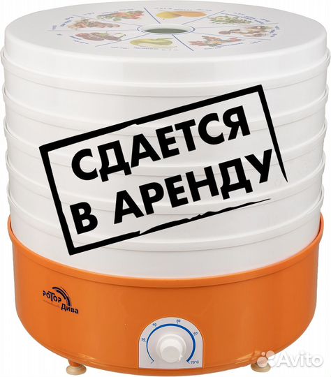 Аренду cушилки для снеков и овощей,фруктов
