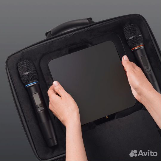 Караоке Evobox Plus черный
