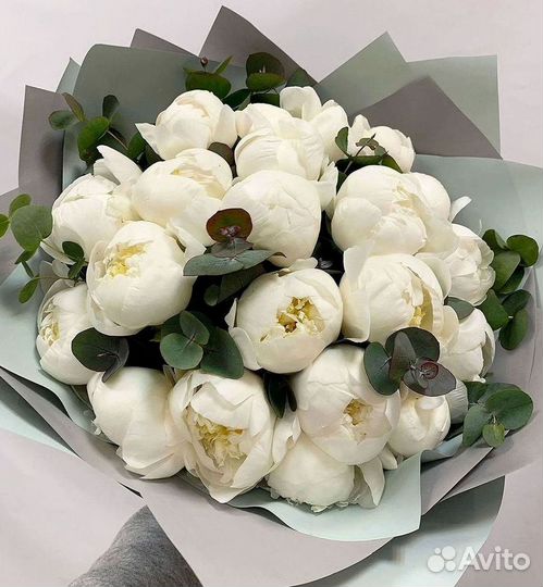 Пионы Букет пионов