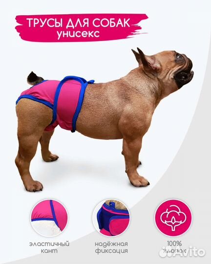 Трусики для собак