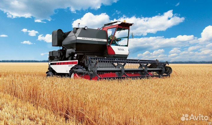 Уборка урожая 2024