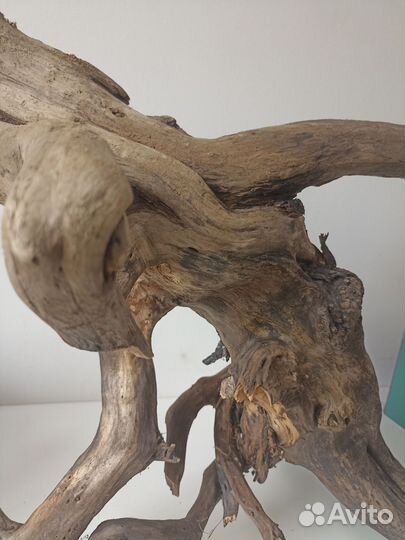 Коряга в террариум