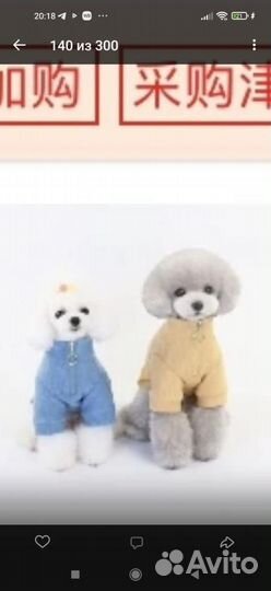 Комбинезон для собак и кошек