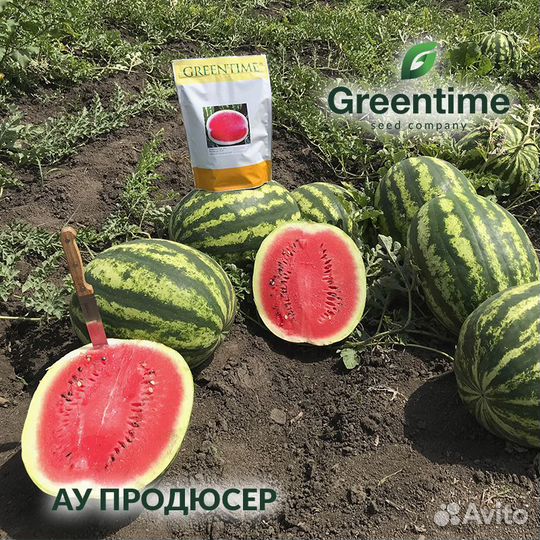 Семена арбуза Продюсер