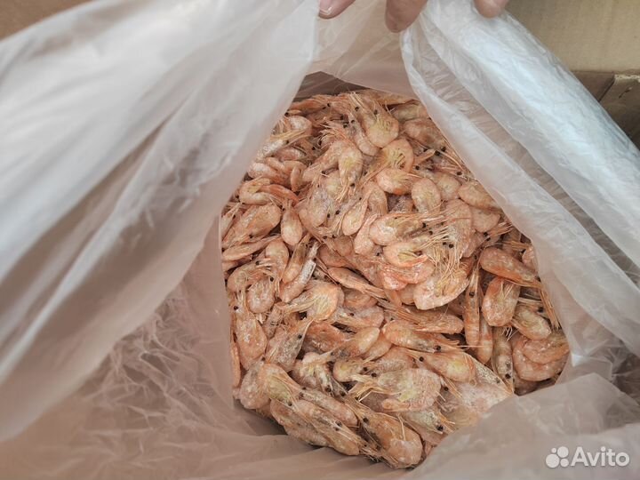Креветка северная 5 кг