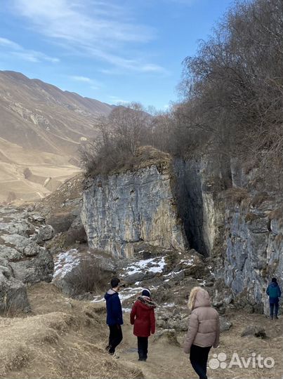 Заказ микроавтобуса с водителем