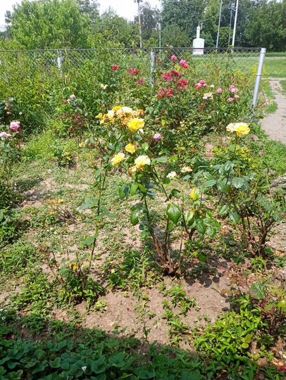 Дом 78 м² на участке 5 сот.