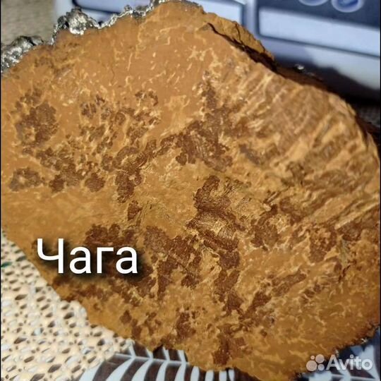 Байкальские травы