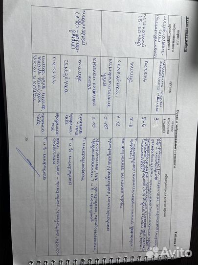 Тетради по гистологии