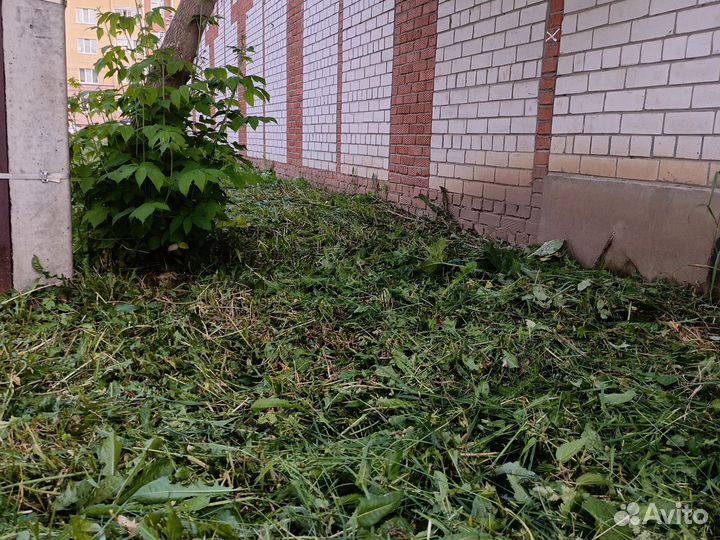 Покос травы триммером