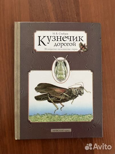 Кузнечик дорогой