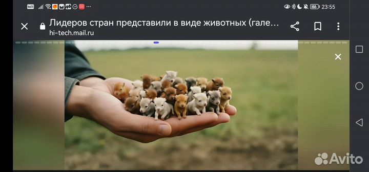 Коляска Tako Jumper X Fantazja 3 в 1