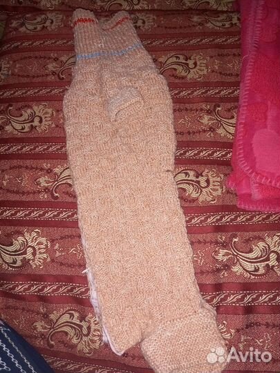 Одежда для собак