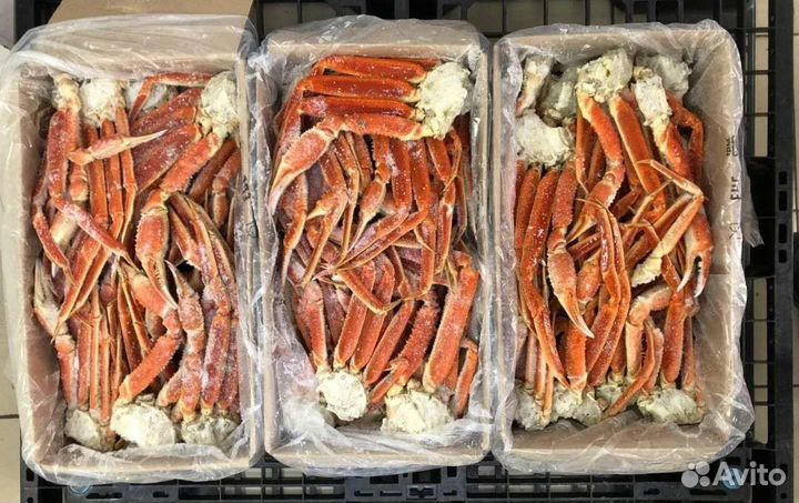 Краб Стригун конечности коробка 4 кг