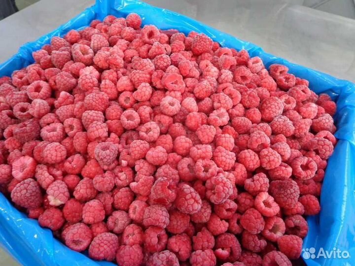 Замороженная малина садовая в розницу и оптом