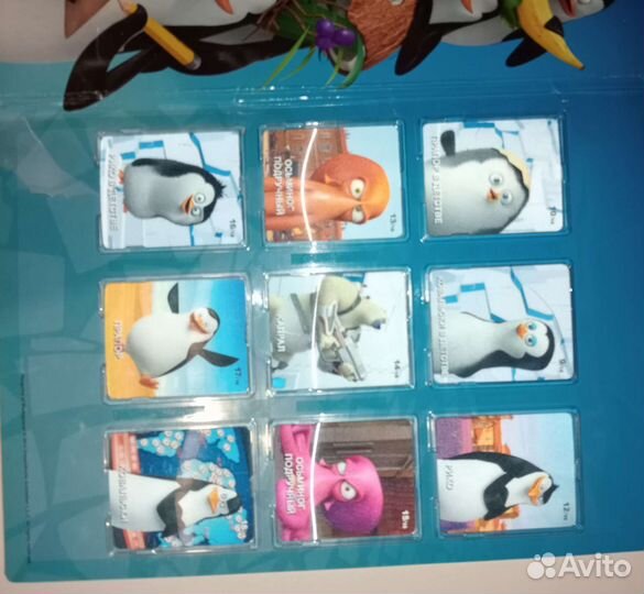 Коллекция карточек пингвины из магнита