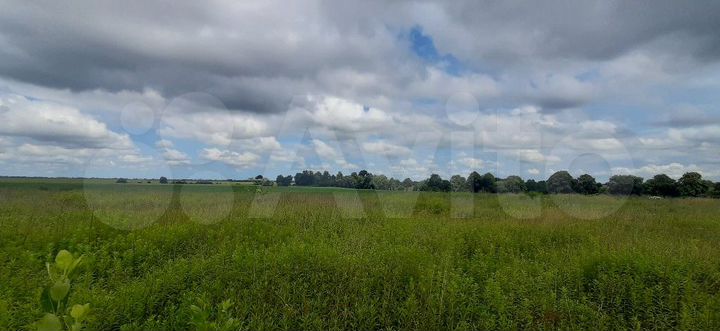 Участок 10 сот. (ИЖС)