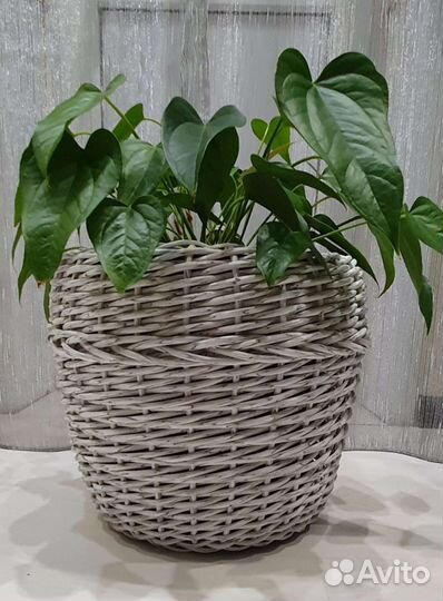 Кашпо из полиротанга