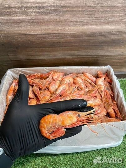 Креветка Ботан