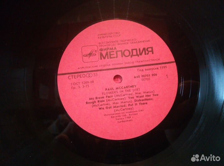 Paul Mccartney-Flowers In Tne Dirt