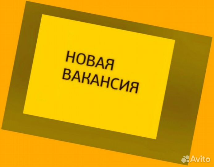 Грузчики Выплаты еженедельно /Хорошие условия