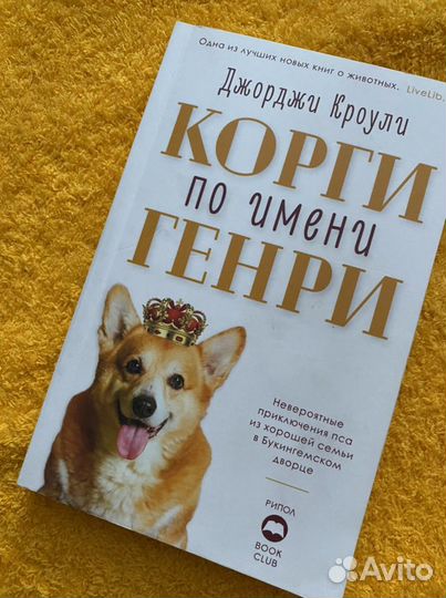 Корги по имени генри