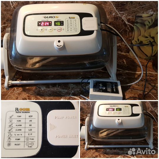 Инкубатор для яиц, овоскоп, меточные кольца