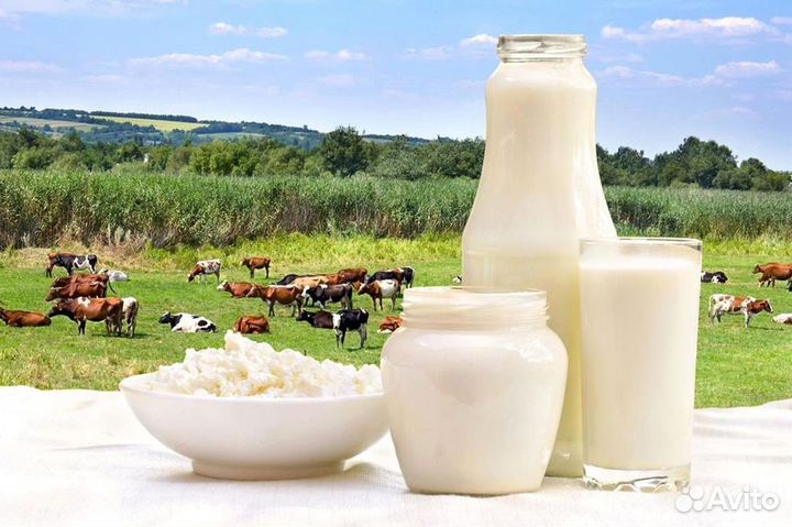 Молоко домашнее оптом